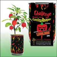 Carolina Reaper Growing Kit